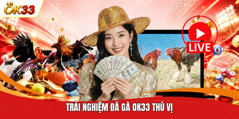 Trải nghiệm đá gà OK33 thú vị